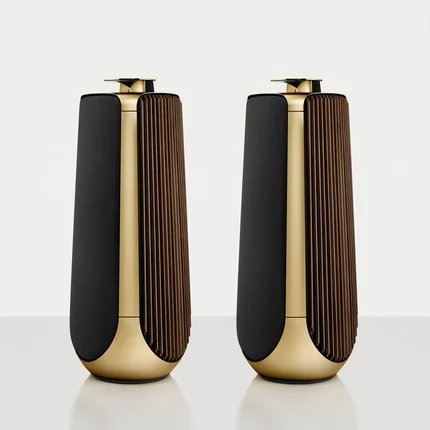 Активная напольная акустика Bang & Olufsen Beolab 50 Brass Tone (Black Fabric Cover / Smoked Oak Lamella Side Panel)